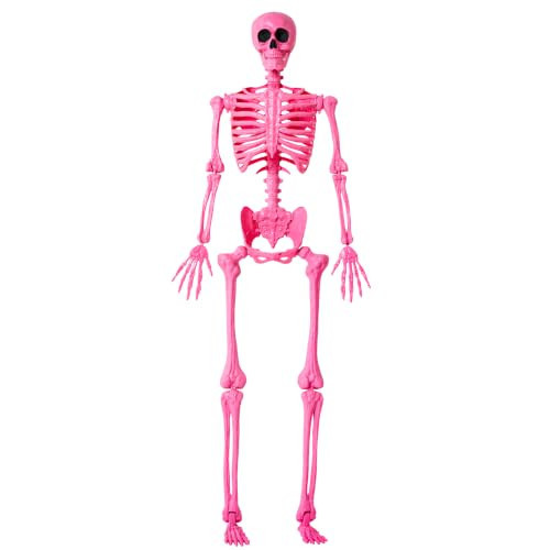JOYIN 5 FT Halloween Skeleton Life Size, Stayable Posable Pink Skeleton Decor, Full Body Movable Joints Giant Skeletons for Halloween Decoration, Spooky Scary Graveyard Party, Haunted House Prop | Amazon (US)