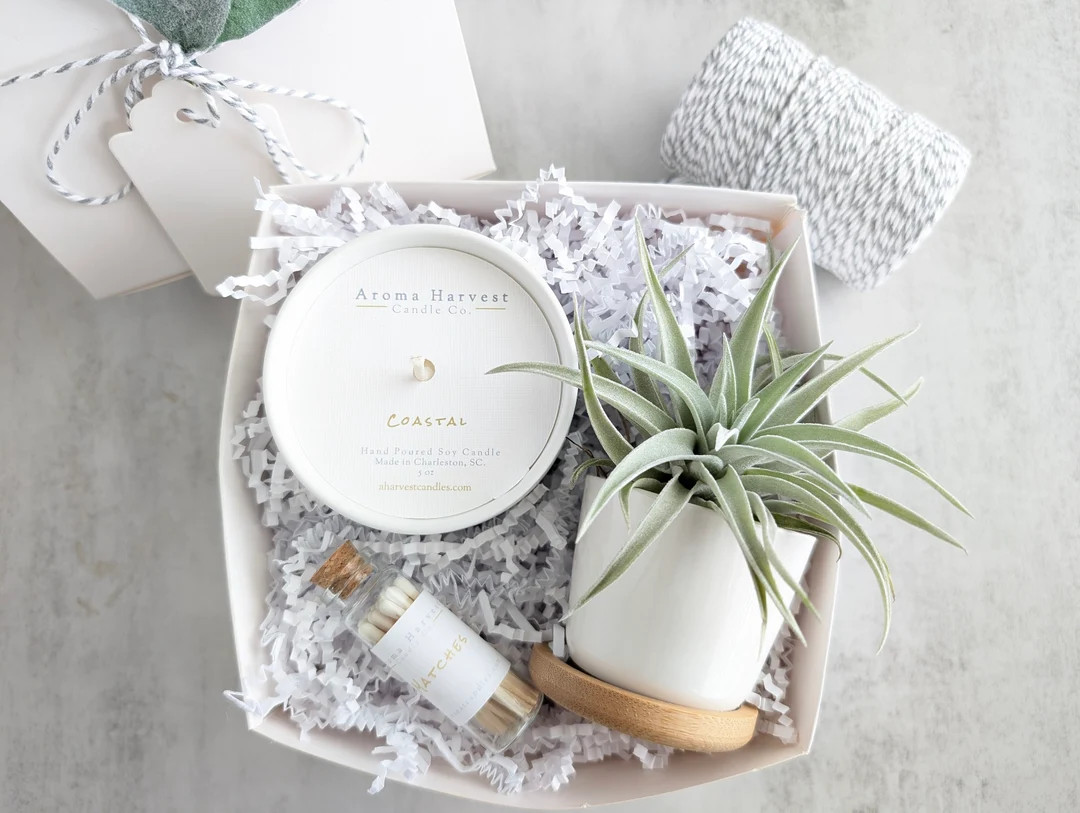 Candle & Air Plant Gift Box Thank You Gift Box, Hostess Gift Box, Birthday Gift Box for Her, Empl... | Etsy (US)