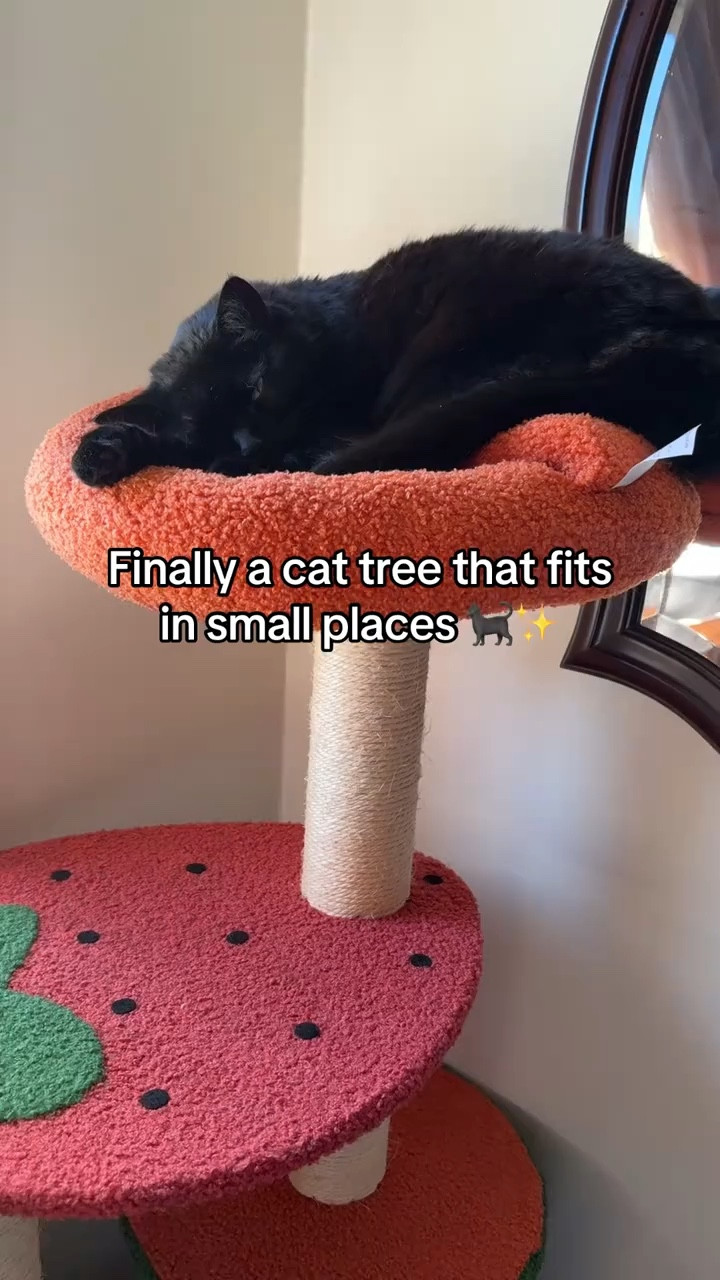 Finally an aesthetic cat tree that fits in a corner. This cat tree is perfect for small apartments but it still gives your cat several places to perch. 

#LTKHome