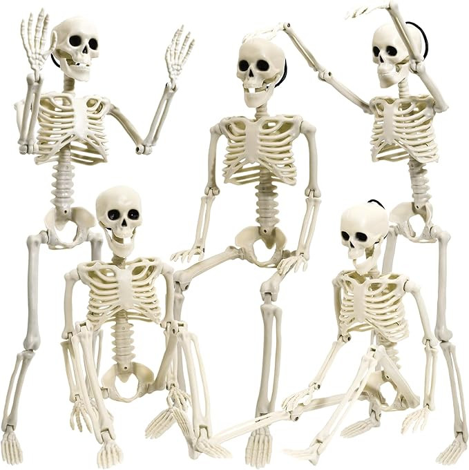5 Pack Halloween Skeleton Decoration,16" Full Body Posable Skeleton Realistic Human Bones with Po... | Amazon (US)