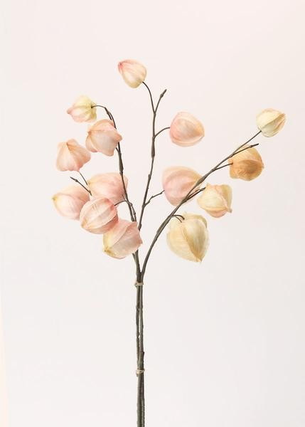 Soft Blush Pink Fake Chinese Lantern Bundle - 18" | Afloral (US)