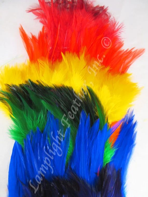 Craft Pack, rooster feathers, rainbow, MIX, 6 colors, bulk, wholesale, earring feathers, per pack | Etsy (US)