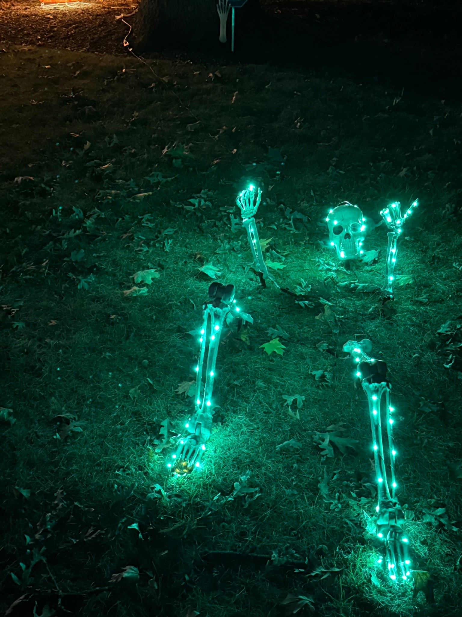 fave new lawn decor! 5pc skeleton stake lights really take the halloween display to next level ☠️🖤

#LTKHalloween #LTKHome