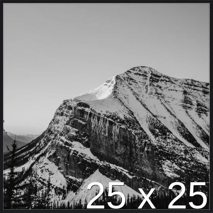 Frame It Easy 25 x 25 Satin Black Metal Frame (Ashford) | Amazon (US)