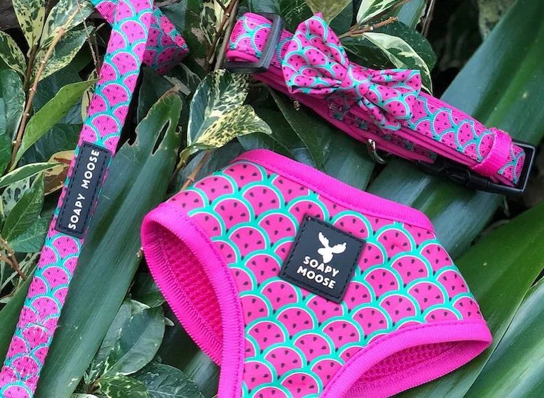 Dog and Cat Watermelon Harness,  pink dog harness, soft dog harness, soft cat harness, watermelon... | Etsy (US)