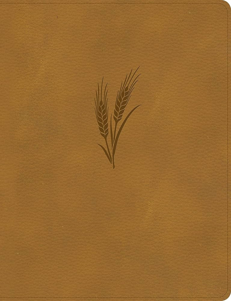 CSB Notetaking Bible, Large Print Edition, Camel LeatherTouch, Black Letter, Wide Margins, Journa... | Amazon (US)