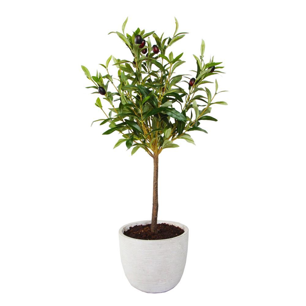 Flora Bunda 28 in. Faux Olive Tree in 7.25 in. Gray Cement Pot-CS3172E-GY - The Home Depot | The Home Depot