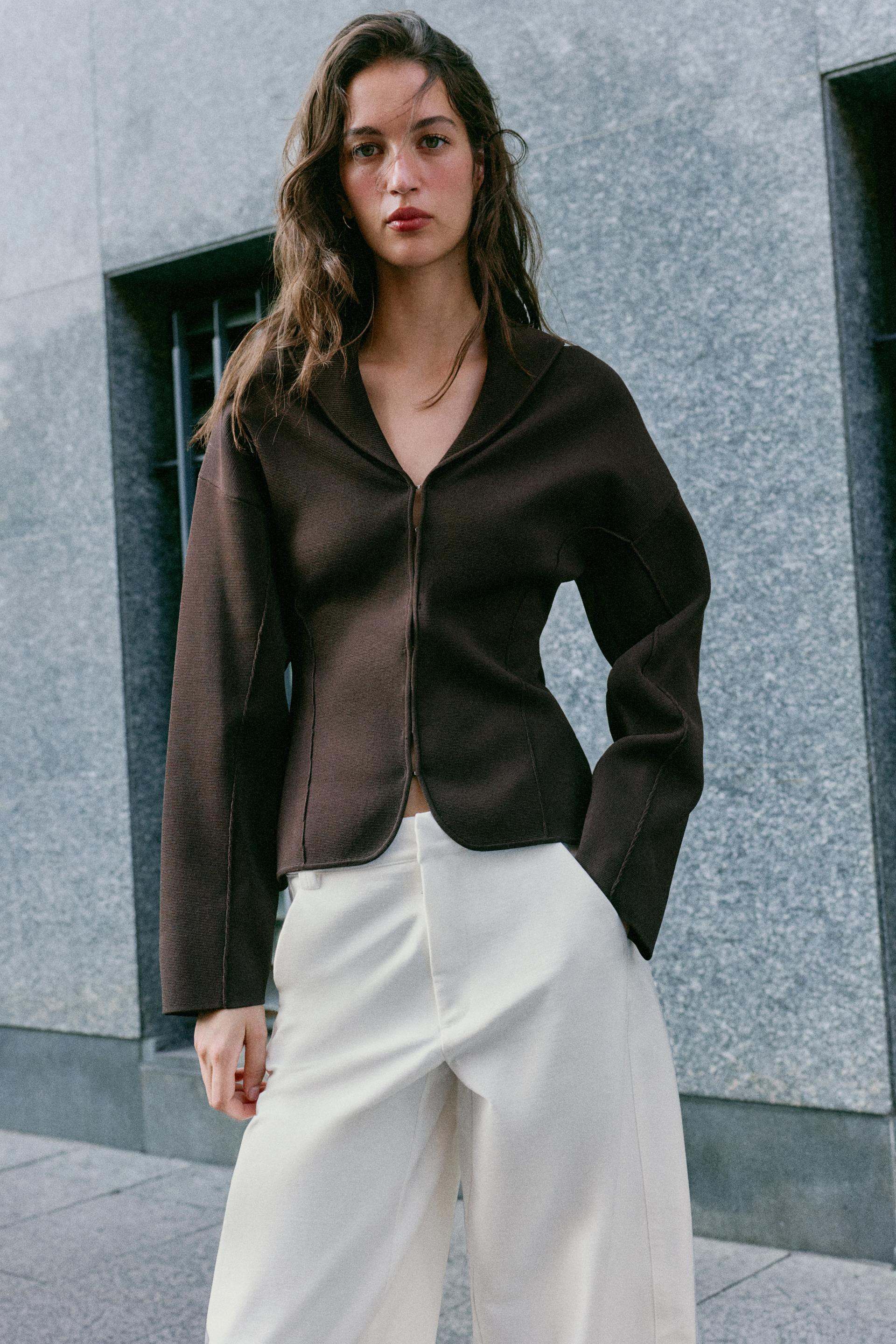 Zara - Cardingan With Snap Fasteners - Brown - L - Woman | Zara US