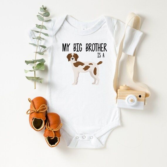 My Big Brother is a Brittany Spaniel Dog, My Big Sister is a Brittany Dog, sibling Bodysuit, long... | Etsy (US)