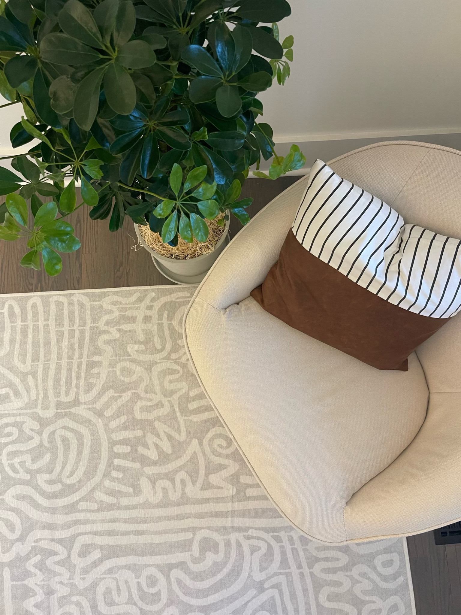 Keith sharing Freestyle Pearl Rug

#LTKHome #LTKFamily #LTKStyleTip