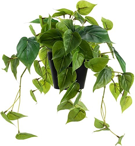 LuckyGreenery Artificial Scindapsus Aureus, Realistic Fake Plant with Plastic Pot for Home Office... | Amazon (US)