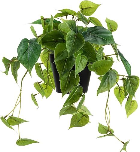 LuckyGreenery Artificial Scindapsus Aureus, Realistic Fake Plant with Plastic Pot for Home Office... | Amazon (US)