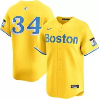 Nike Men's Boston Red Sox 2025 City Connect David Ortiz #34 Limited Vapor Jersey | DICK'S Sporting Goods