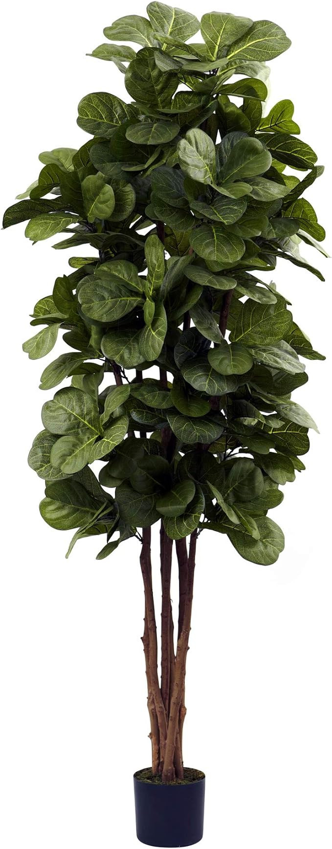 Nearly Natural 6ft. Fiddle Leaf Fig Artificial Trees, 72 in, Green | Amazon (US)