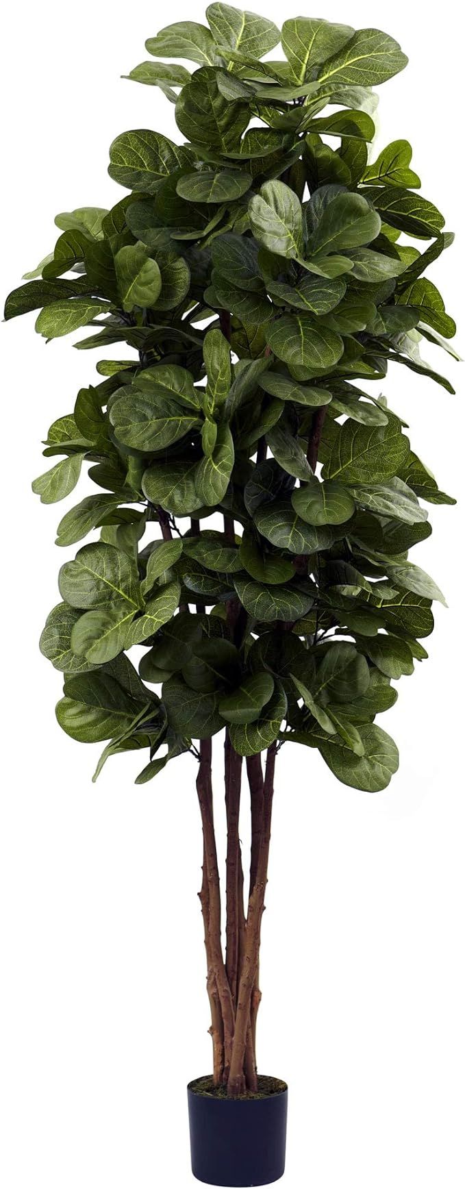Nearly Natural 6ft. Fiddle Leaf Fig Artificial Trees, 72 in, Green | Amazon (US)