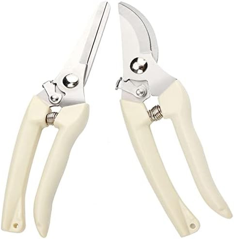 Premium pruning shears, Upgrade, Japanese pruners, garden clippers for cut flowers, rose, trees, ... | Amazon (US)