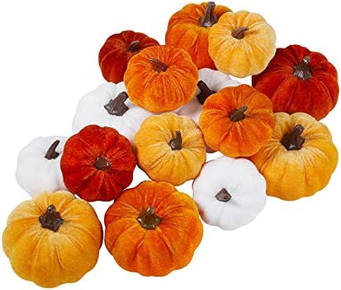 Set of 16 Assorted Faux Small Rustic Harvest Decorative Pumpkins Velvet Fabric Pumpkins Foam Pump... | Amazon (US)