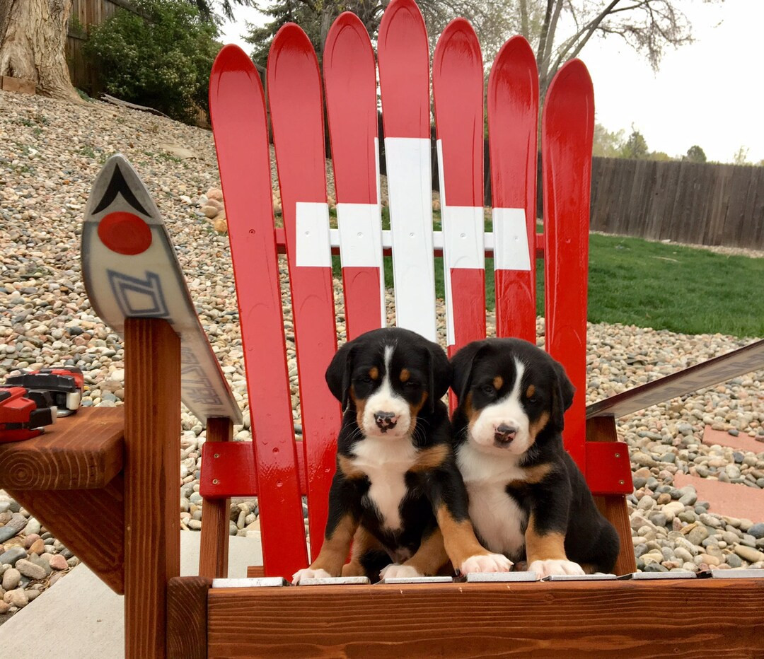 Ski Patrol/ Swiss Army/ Swiss Flag Hand Painted Adirondack Ski Chair - Etsy | Etsy (US)