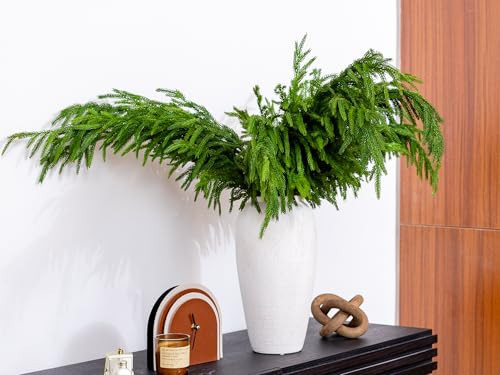 6PCS Norfolk Pine Stems Real Touch, 39” Christmas Greenery Pine Branches Picks for DIY Garland Wreath Home Garden Indoor Outdoor Xmas Christmas Decorations | Amazon (US)