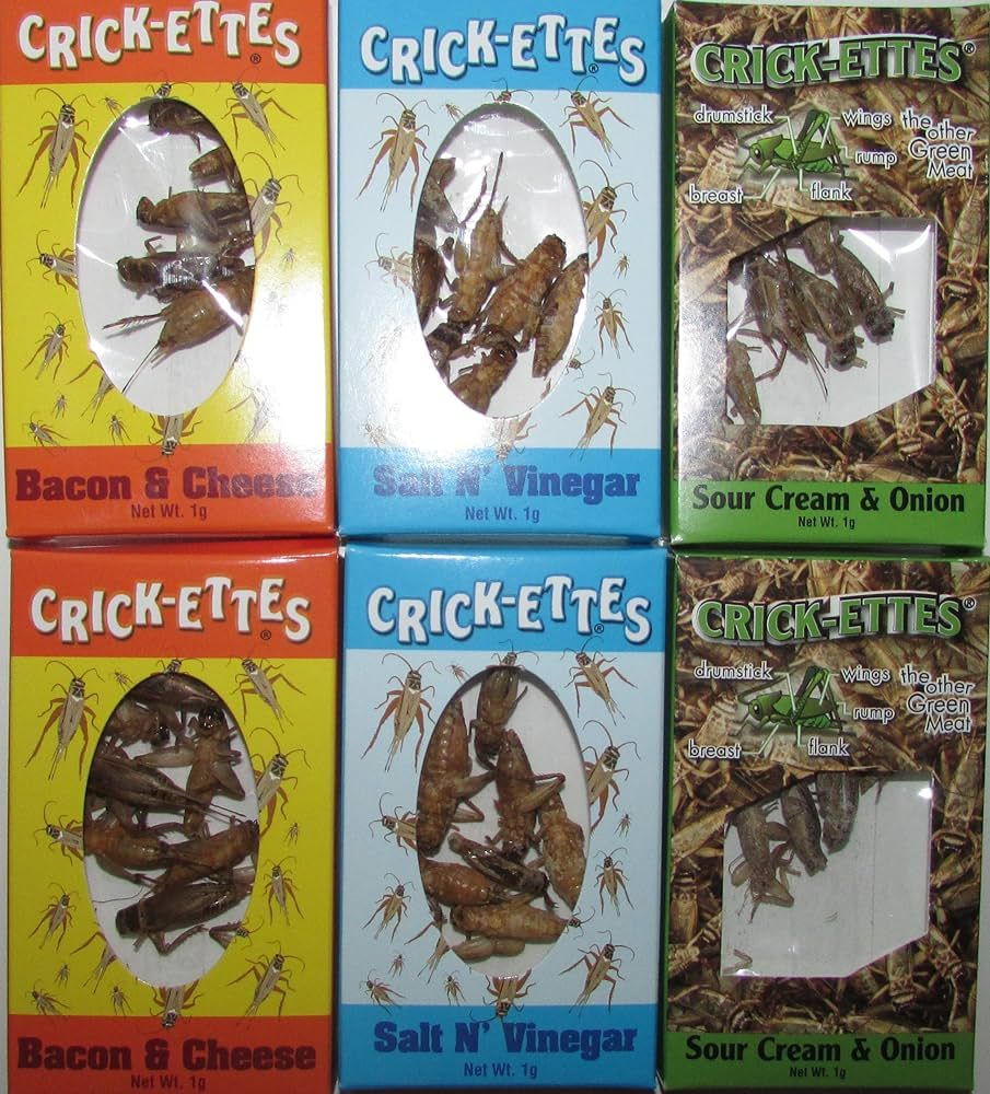 Hotlix Real Crickets to eat Crick-ettes Variety Pack of Six | Amazon (US)
