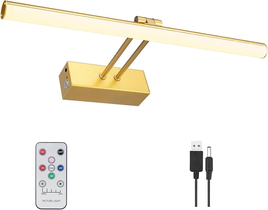 HOWMZON Picture Light, Rechargeable Picture Lights for Wall,16" Metal Battery Operated Sconces,50... | Amazon (US)