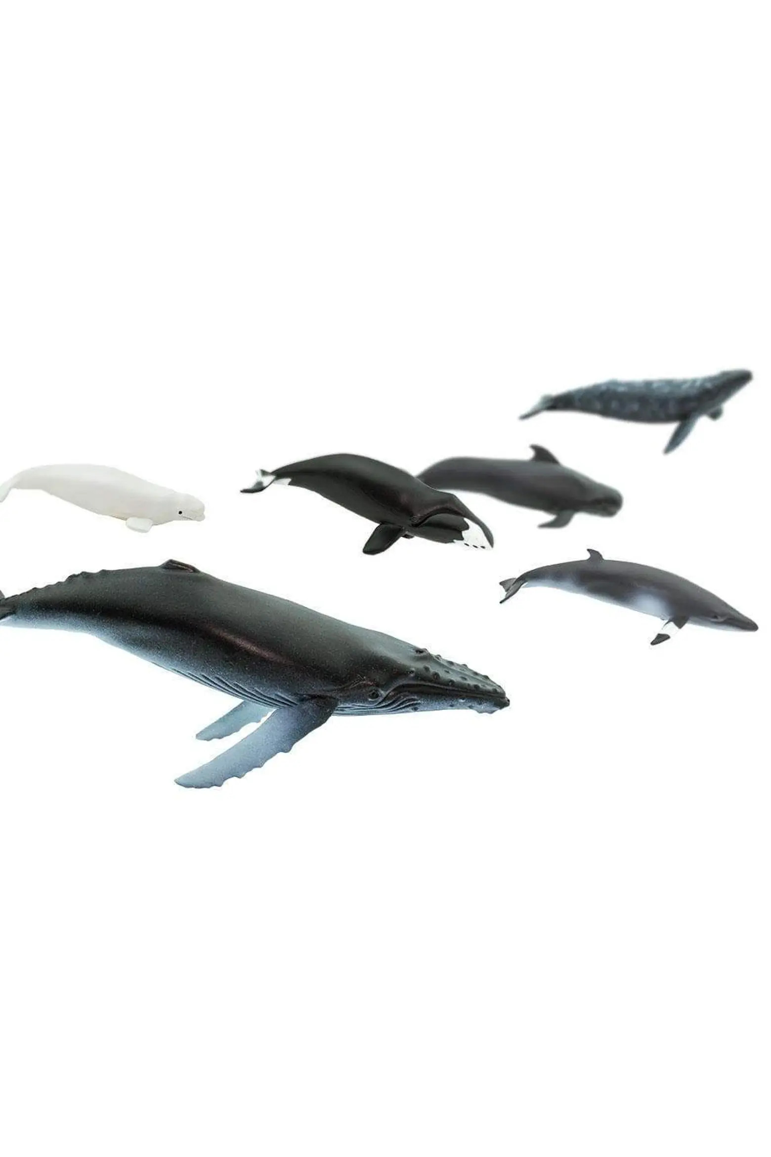 Safari Ltd. Whales Toy | Nordstrom | Nordstrom
