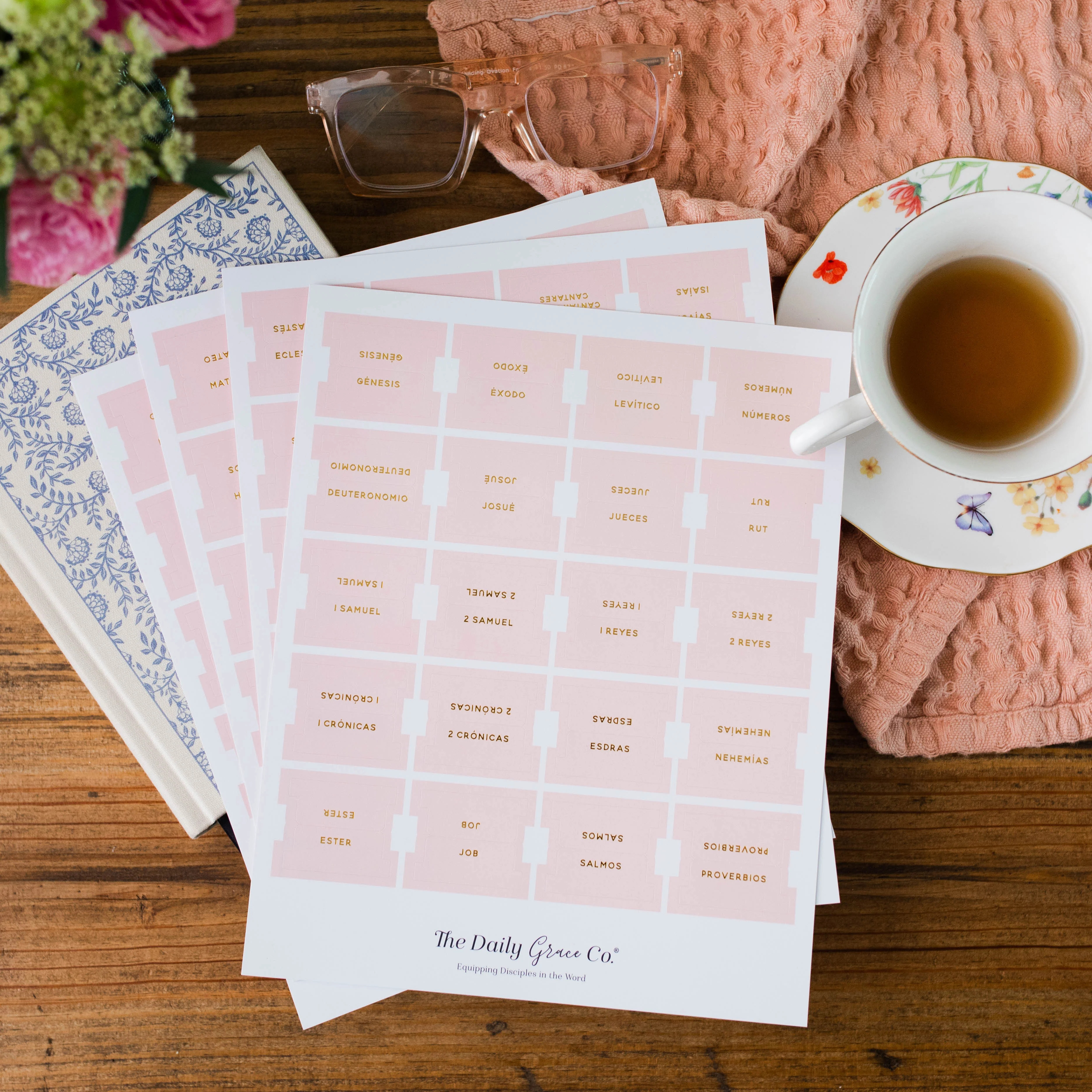Blush Bible Tabs | Spanish Edition | The Daily Grace Co. | The Daily Grace Co.
