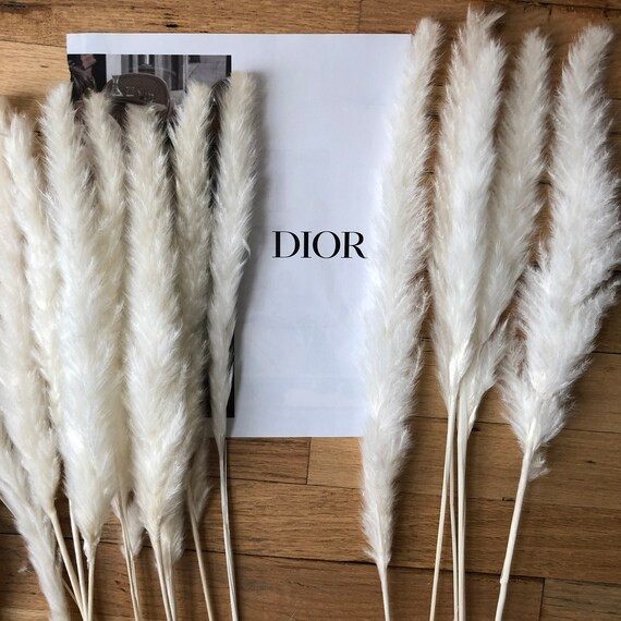 Buy together, get free shipping | Etsy (US)