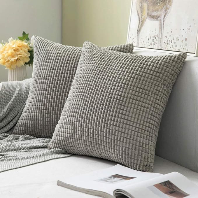 Amazon.com: MIULEE Pack of 2 Decorative Throw Pillow Covers Soft Corduroy Solid Cushion Case Ligh... | Amazon (US)