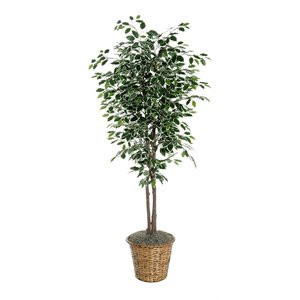 Vickerman 7' Artificial Variegated Ficus Deluxe Tree with Rattan Basket in Green | Cymax
