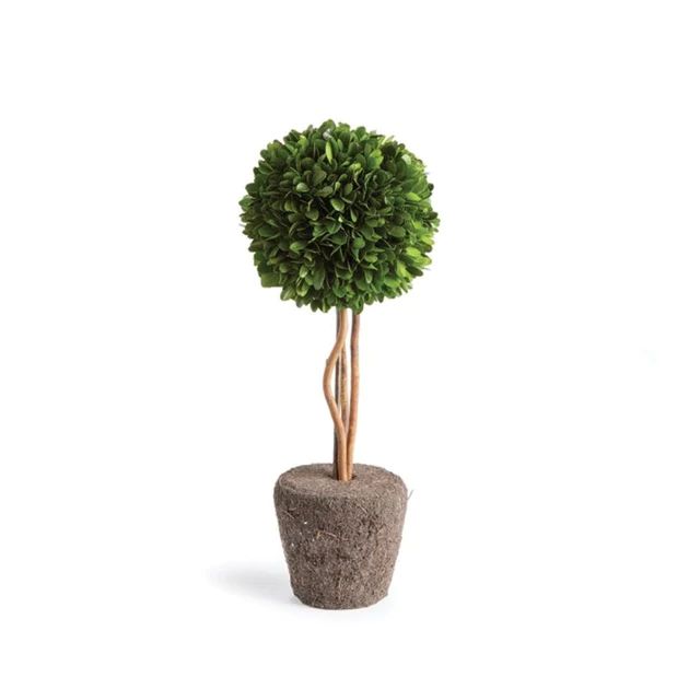 Boxwood Topiary Drop-In | Cailini Coastal