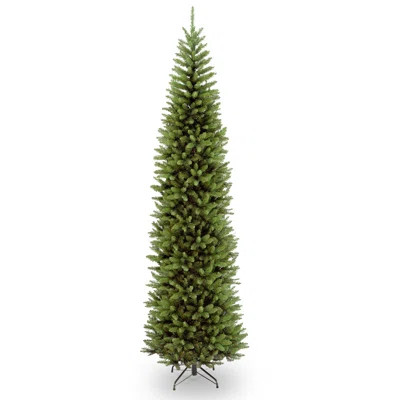The Holiday Aisle® Kingswood Fir Pencil Tree | Birch Lane