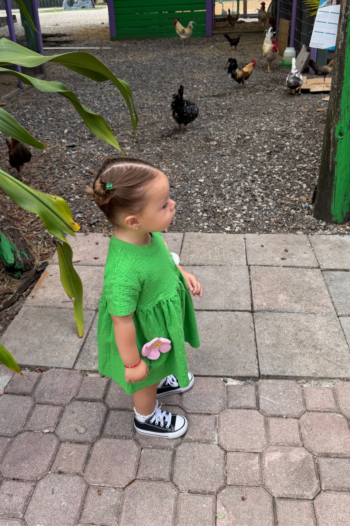 This green dress is the cutest and so comfy for running around—linking her outfit!

#LTKootd #LTKKids #LTKBaby
