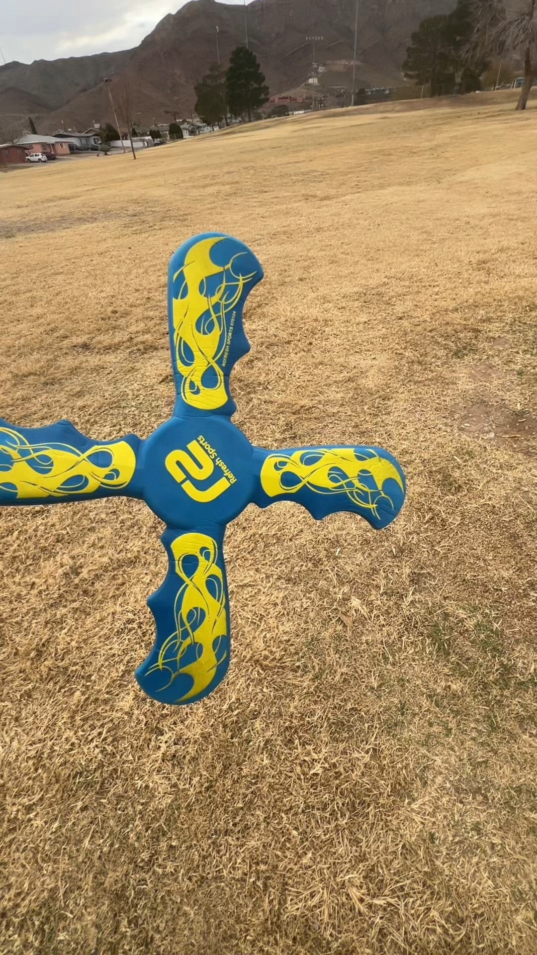 This boomerangs is the perfect gift for kids. Entertainment for hours 

#LTKmomlife #LTKHoliday #LTKGiftGuide