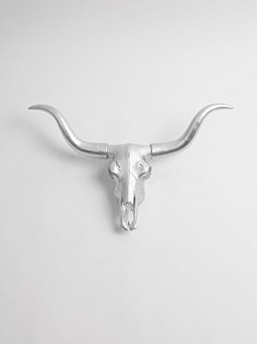 Silver Cow Skull Decor | Amazon (US)