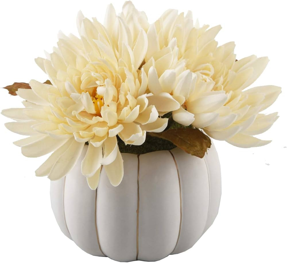 Flora Bunda 5" H Cream Mums in 4" Ceramic Pumpkin Mums for Desk, Office, Living Room, and Home De... | Amazon (US)