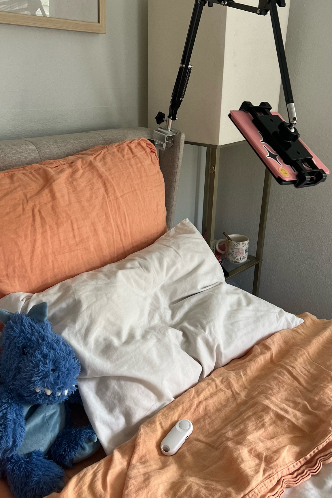 My reading set up 