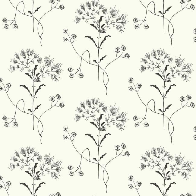 Wildflower Wallpaper in Black and White from Magnolia Home Vol. 2 by Joanna Gaines | Burke Decor