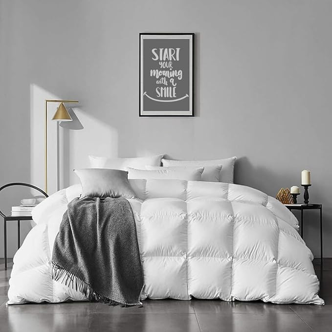 APSMILE Queen Size Goose Feather Down Comforter - Ultra Soft All Seasons 100% Organic Cotton Feat... | Amazon (US)