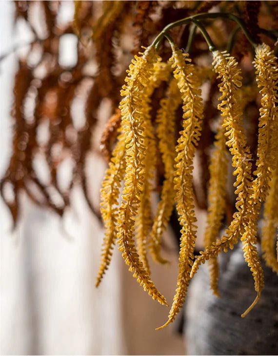 Preserved Amaranthus Artifical Flowers Hanging Amaranthus - Etsy | Etsy (US)