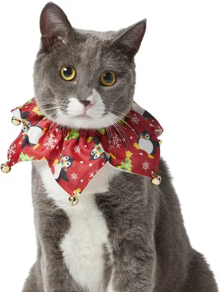Frisco Festive Penguins Cat Ruffle Collar with Bells, One Size | Chewy.com