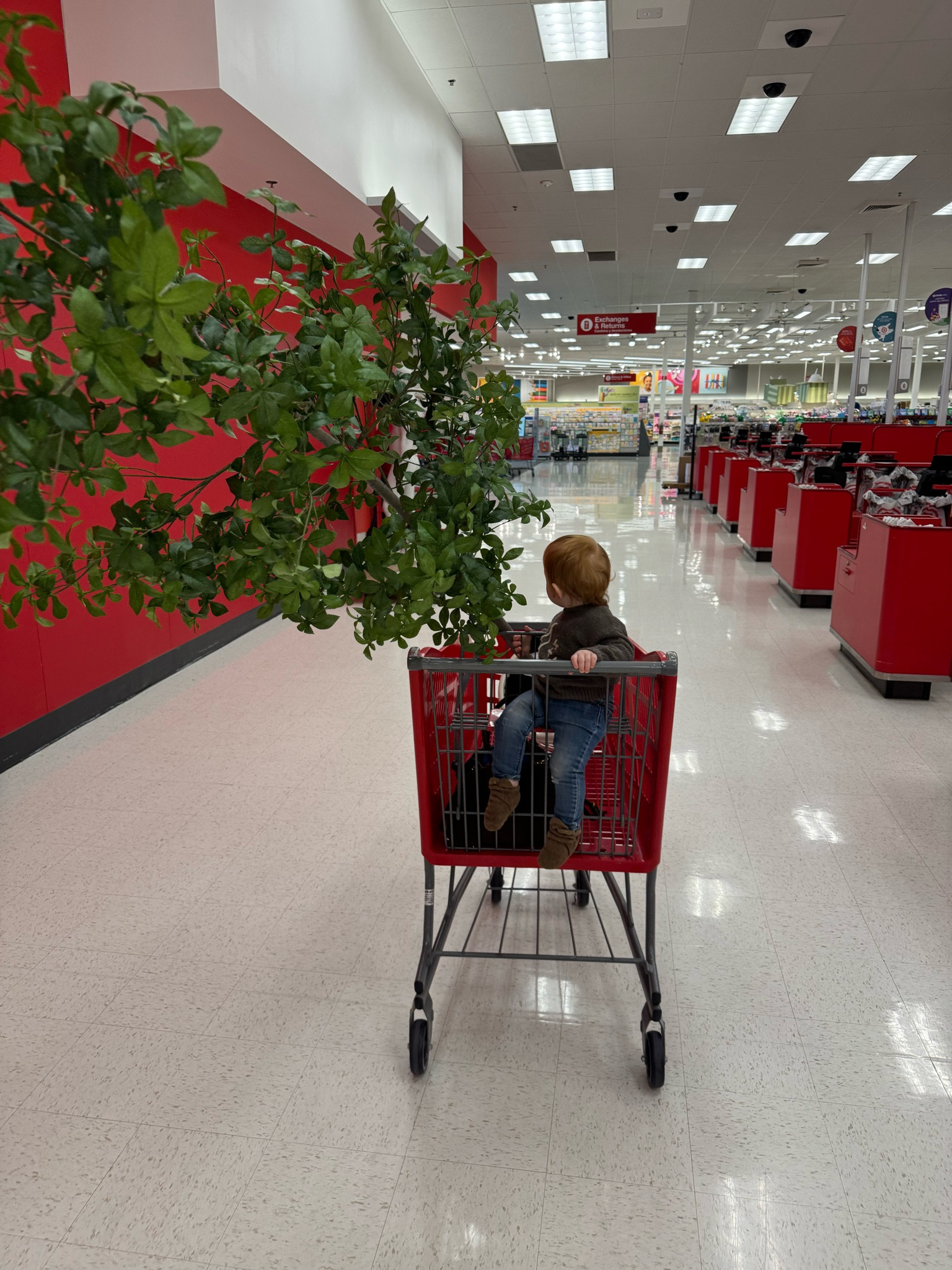 This 8’ faux tree from Target is one of the most realistic I’ve ever seen. Even nicer than my $400 Pottery Barn one 🤯

Home, Target finds, home decor, faux tree, great finds

#LTKSeasonal #LTKHome #LTKFamily