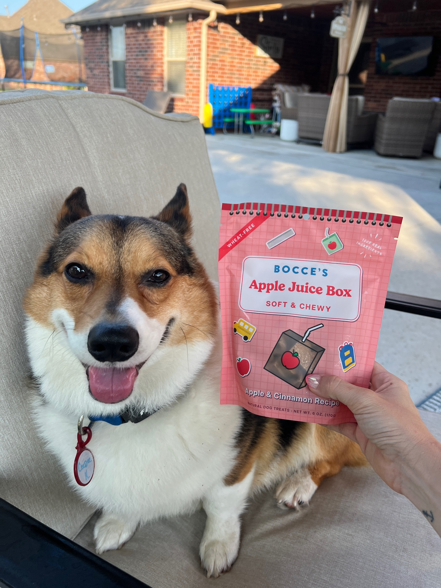 Bocce’s Bakery released 3 new flavors inspired by back to school time 🏫 we love anything with 🍎 

#LTKBacktoSchool #LTKFindsUnder50