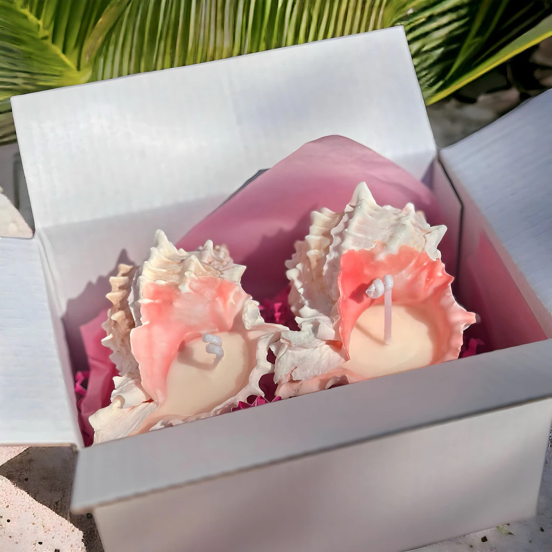 Pink Murex Shell Set 2 Tealight Candle Soy Seashell Unscented Favorcute Beach Giftocean Decorcoco... | Etsy (US)