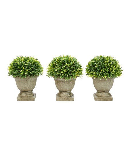 Podocarpus Grass Artificial Plant in Concrete Pot - Set of Three | Zulily