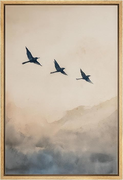 wall26 Framed Canvas Print Wall Art Three Birds in Flight Minimalist Illustrations Modern Art Dec... | Amazon (US)