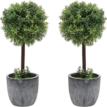 Set of 2 Small Realistic Artificial Boxwood Topiary Trees / Faux Tabletop Plants w/ Gray Ceramic ... | Amazon (US)