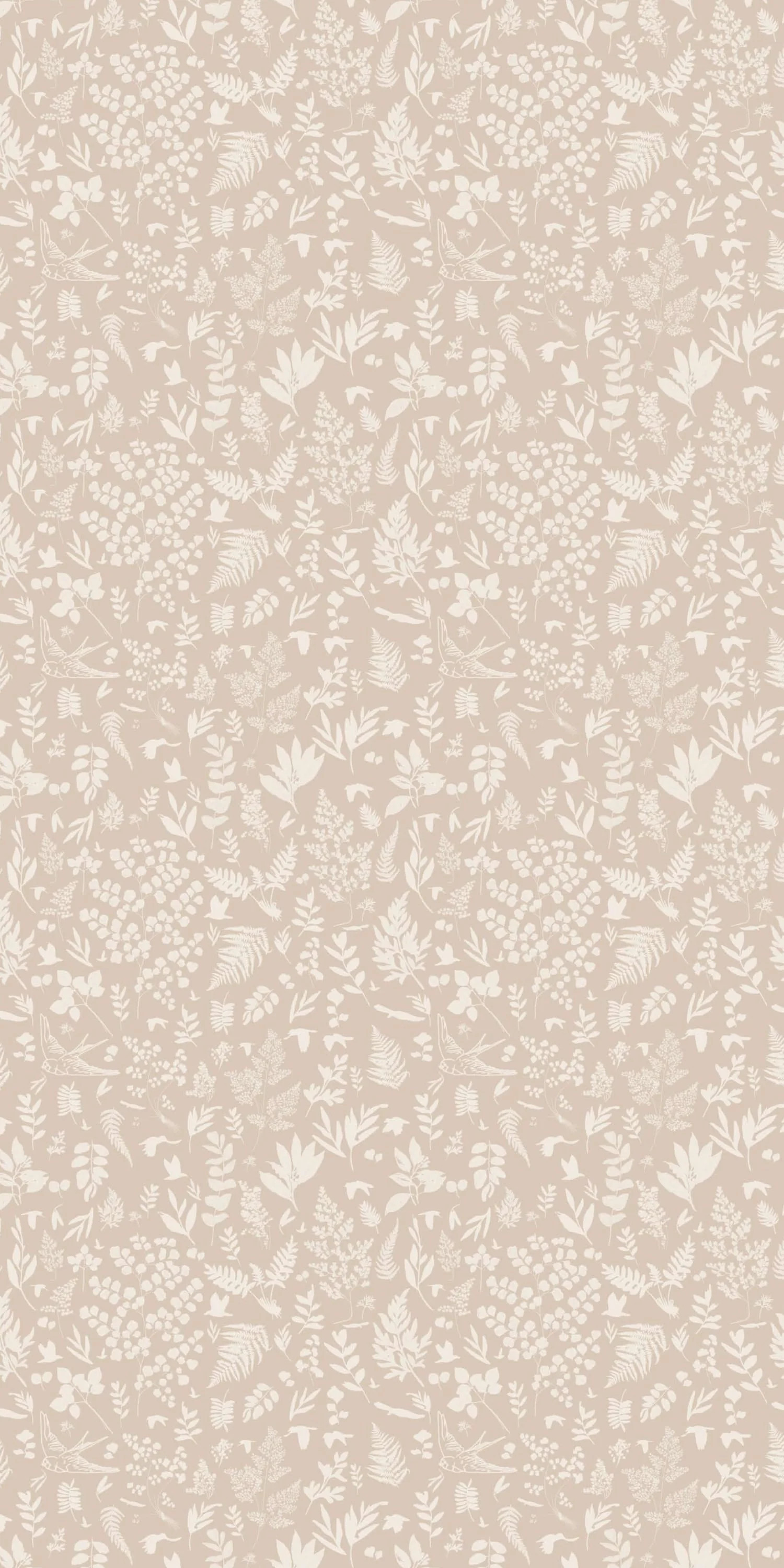 Fern | Chasing Paper