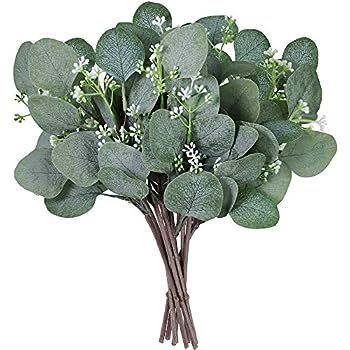 Supla 10 Pcs Artificial Seeded Eucalyptus Leaves Stems Bulk Artificial Silver Dollar Eucalyptus L... | Amazon (US)