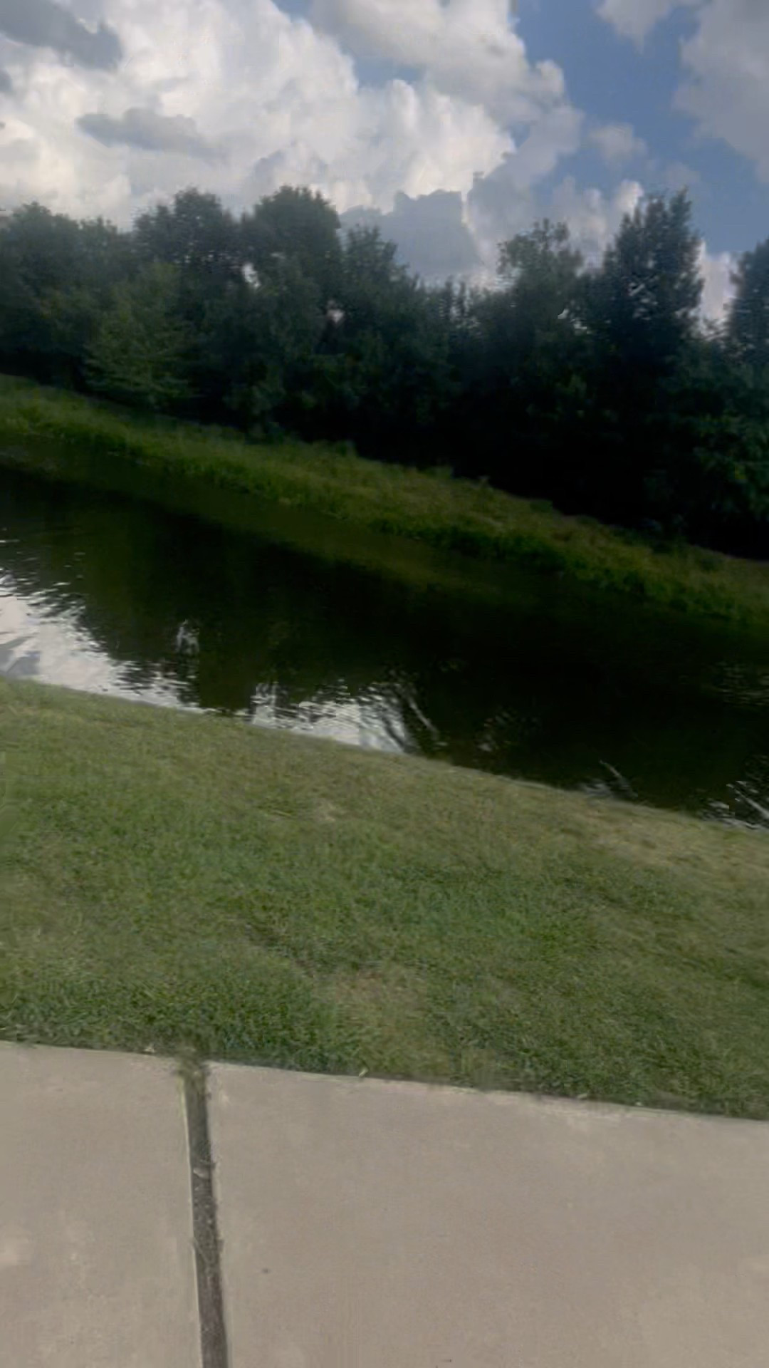 I had to get the vest with the phone holder and it has some elastic straps which have come handy for my iced quenchers. 

#LTKItBag #LTKActive